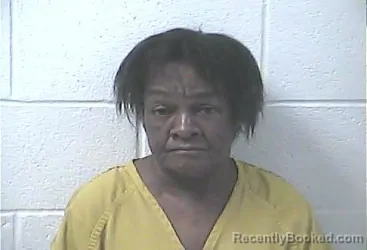Mugshot of Cynthia Faith Irving booked in Daviess County, Kentucky on October 4, 2026