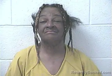 Mugshot of CYNTHIA FAITH IRVIN