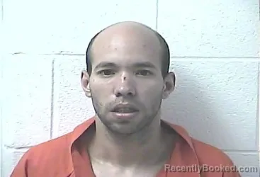 Mugshot of COURTNEY LOGAN MCGILL booked in Daviess County, Kentucky on May 27, 2026