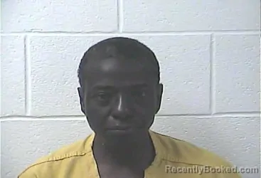 Mugshot of DONNA DEMERISE MCKENZIE booked in Daviess County, Kentucky on March 31, 2026