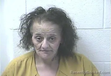 Mugshot of DEBORAH MITCHELL-MEDEIROS