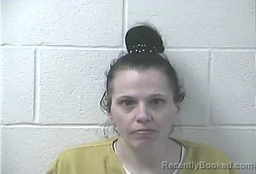 Mugshot of DENA MICHELLE STEWART booked in Daviess County, Kentucky on July 6, 2026