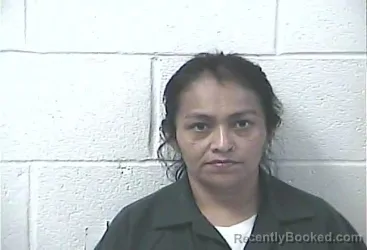 Mugshot of GABRIELA PEREZ HERNANDEZ booked in Daviess County, Kentucky on June 30, 2026
