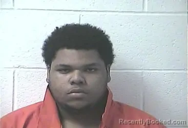 Mugshot of JAVARI SHAWNDELL BELLAMY booked in Daviess County, Kentucky on July 24, 2026