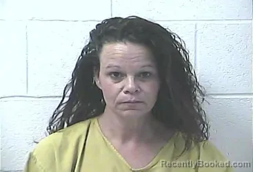 Mugshot of JAMI DENISE HEFFINGTON