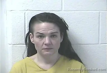 Mugshot of JAMIE LYNNE TAYLOR