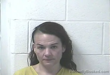 Mugshot of JAMIE LYNNE TAYLOR booked in Daviess County, Kentucky on July 4, 2026