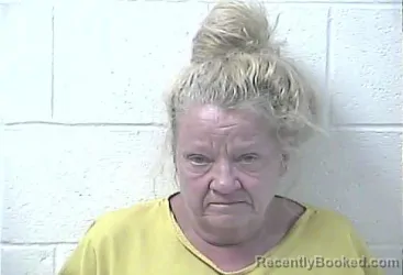Mugshot of KARIN ANN ELLIOTT booked in Daviess County, Kentucky on July 23, 2026