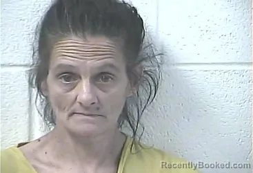 Mugshot of Kimberly Ruth Fincher booked in Daviess County, Kentucky on October 28, 2026