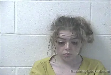 Mugshot of LEXYS ELAINE HIGGS booked in Daviess County, Kentucky on July 23, 2026