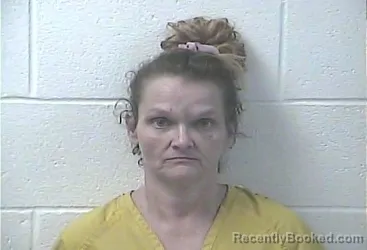 Mugshot of Lynette Faye Mattingly booked in Daviess County, Kentucky on August 24, 2026