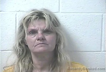 Mugshot of Leigh Ann Shepherd booked in Daviess County, Kentucky on October 23, 2026