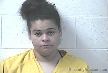 Mugshot of Megan Fay Palmer booked in Daviess County, Kentucky on August 31, 2026