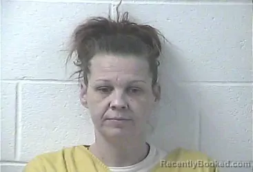 Mugshot of Melissa Kay Pollard booked in Daviess County, Kentucky on October 29, 2026