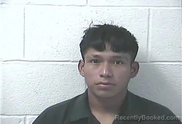 Mugshot of NELSON ALEXANDER GUZMAN booked in Daviess County, Kentucky on July 23, 2026