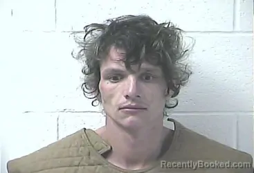 Mugshot of PATRICK DANE HAYES