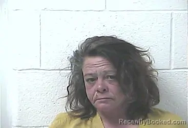 Mugshot of STEPHANIE LOUISE FARLEY