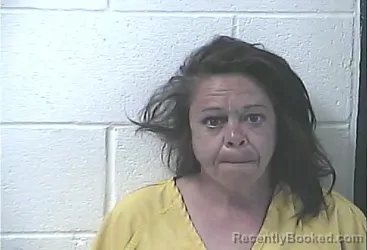 Mugshot of STEPHANIE LOUISE FARLEY booked in Daviess County, Kentucky on June 20, 2026