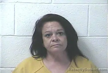 Mugshot of STEPHANIE LOUISE FARLEY booked in Daviess County, Kentucky on July 20, 2026