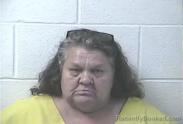 Mugshot of Sara Ann Napier booked in Daviess County, Kentucky on September 7, 2026