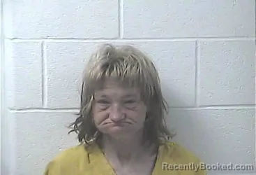 Mugshot of STEPHANIE LEE SHOUSE booked in Daviess County, Kentucky on March 25, 2026