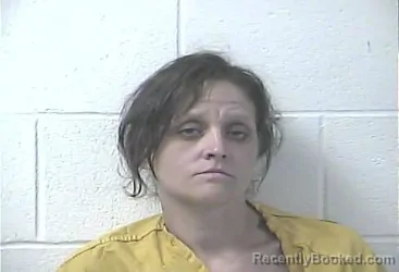 Mugshot of SYLVIA MARIE WALTERS booked in Daviess County, Kentucky on April 2, 2026