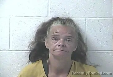 Mugshot of Tracy Lynn Brown booked in Daviess County, Kentucky on August 22, 2026