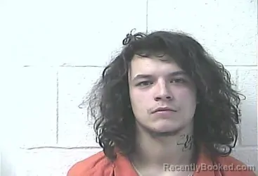 Mugshot of TRISTAN MICHAEL COLLIER