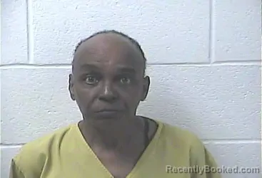 Mugshot of TERRIETTA LAVET HOGG- MCNARY