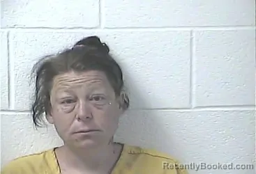 Mugshot of TONYA MARIE LEE booked in Daviess County, Kentucky on April 3, 2026