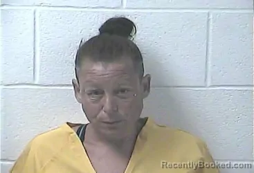 Mugshot of TONYA MARIE LEE booked in Daviess County, Kentucky on July 22, 2026