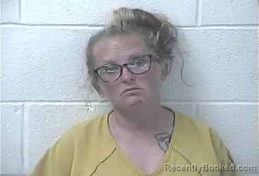 Mugshot of Tiffany Ellen Robinson booked in Daviess County, Kentucky on September 11, 2026
