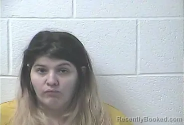 Mugshot of VANESSA M HAGAN