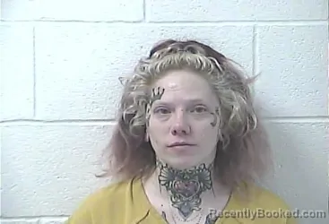 Mugshot of WHITNEY DAWN HARRISON