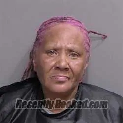 Booking photo from Flagler County, Florida