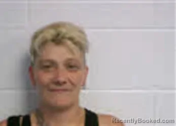 Mugshot of STEPHANIE ELAINE HAMILTON booked in Macon County, North Carolina on June 4, 2026
