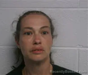 Mugshot of FELICIA HOPKINS HUGHES booked in Macon County, North Carolina on March 25, 2026