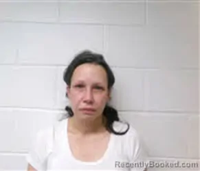 Mugshot of MARINA DEL RAE LELINKO booked in Macon County, North Carolina on April 22, 2026