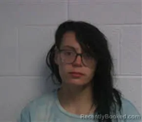 Mugshot of JESSICA LEE GERBA booked in Macon County, North Carolina on March 26, 2026