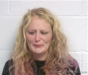 Mugshot of ERICA MARIE FIELDS