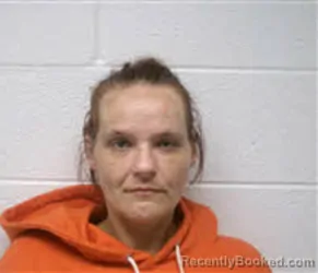 Mugshot of MICHELLE M NICHOLSON booked in Macon County, North Carolina on July 8, 2026
