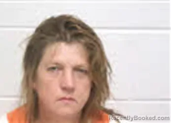 Mugshot of PENNIE LYNN JOBE booked in Macon County, North Carolina on July 14, 2026