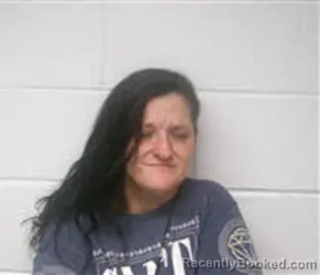 Mugshot of Elizabeth Phillips Crane booked in Macon County, North Carolina on August 5, 2026