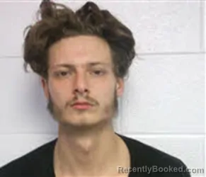 Mugshot of TYLER LEE RODEHEAVER