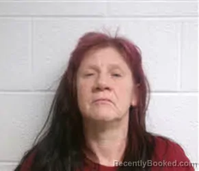 Mugshot of ANITA BELLE RODRIGUES