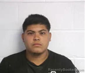 Mugshot of Enjel Joseth Gonzalez booked in Macon County, North Carolina on August 7, 2026