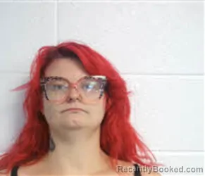 Mugshot of Melissa Dawn Haynes booked in Macon County, North Carolina on August 8, 2026