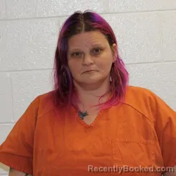 Mugshot of ANNA ELIZEBETH ABNER