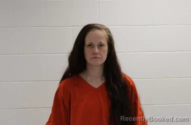 Mugshot of ASHLEY MICHELLE DAVID