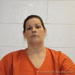 Mugshot of AMY RENEE DIXON
